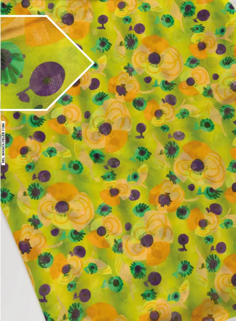 Selection Magica Celeb