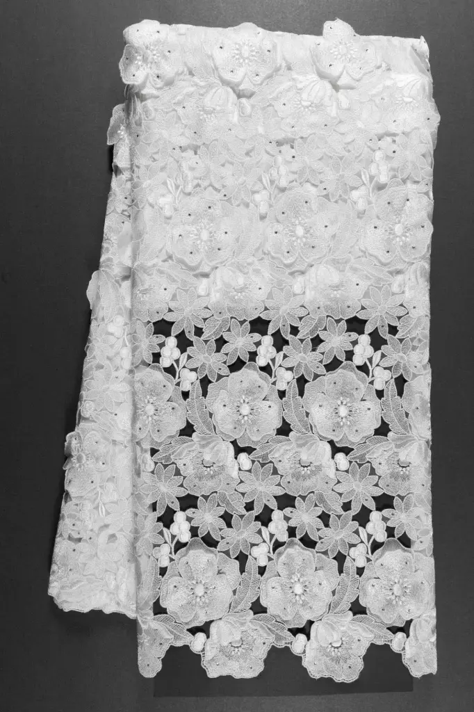 Embroidered allover with strass(Organza hand cut) 