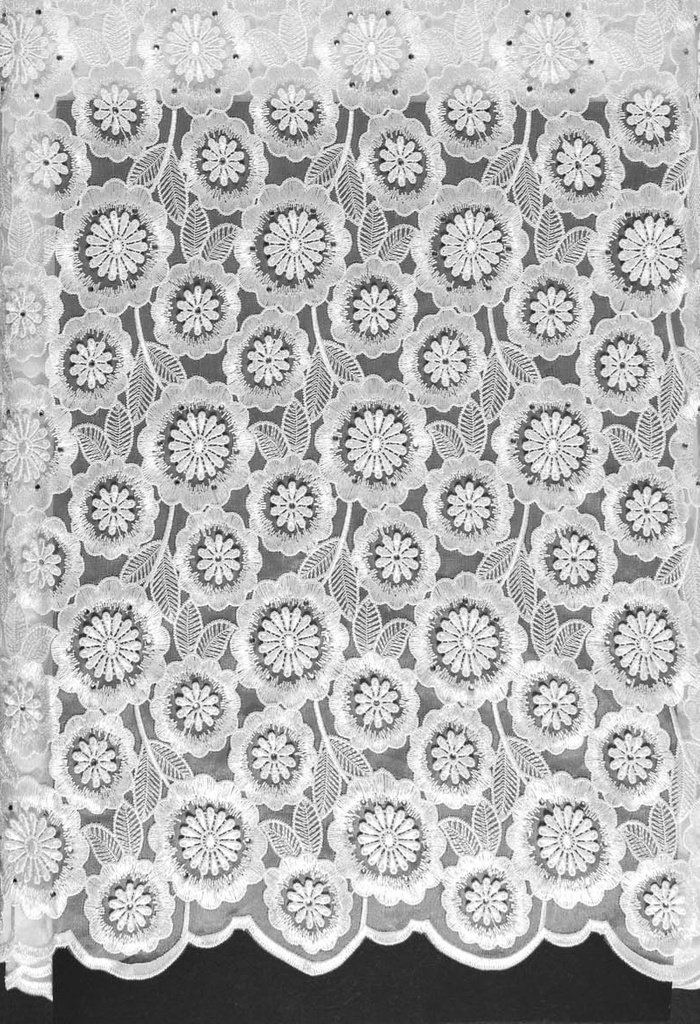 Embroidered allover with strass