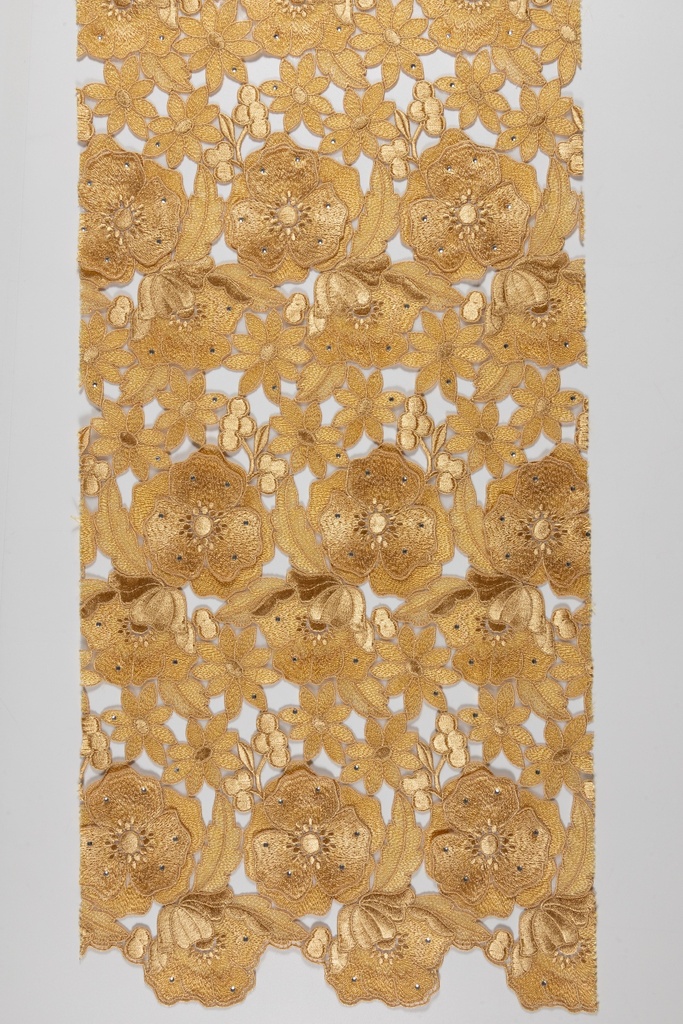 Embroidered allover with strass