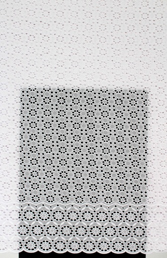 [ST10731-SHT-8572-A-White-101-Shadow] Dry lace