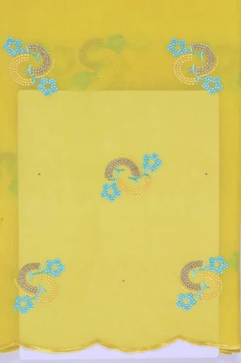 Voile Lace (with stones)