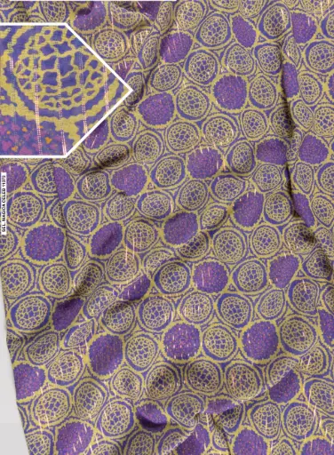 [FT1019-11272-Violet--Filtex] Selection Magica Celeb