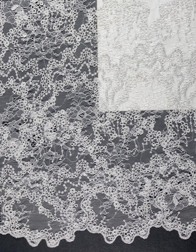 [FT1018-603347-White-101-Filtex] Embroidered allover with sequins