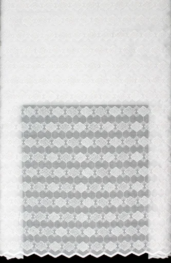 [ST10824-3014-WHITE-1-Shadow] Dry lace