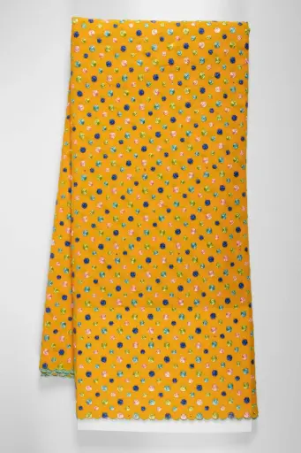 Embroidered allover with strass