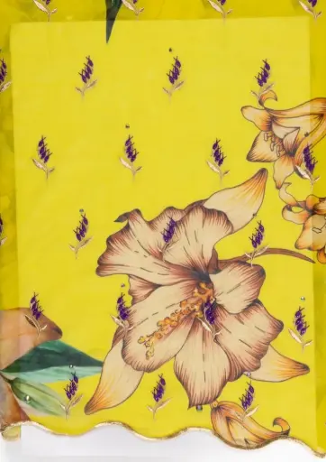 Embroidered allover with strass 