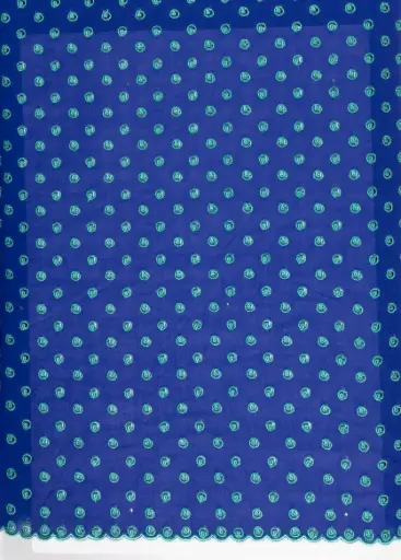 Embroidered allover with strass 