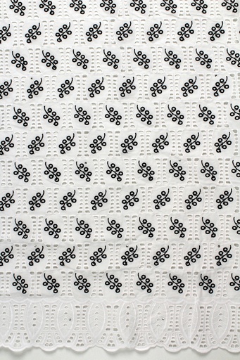 [ST10861-8427-White/Black-1-Shadow] Dry lace