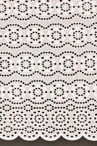 [ST10824-8509-White-1-Shadow] Dry lace