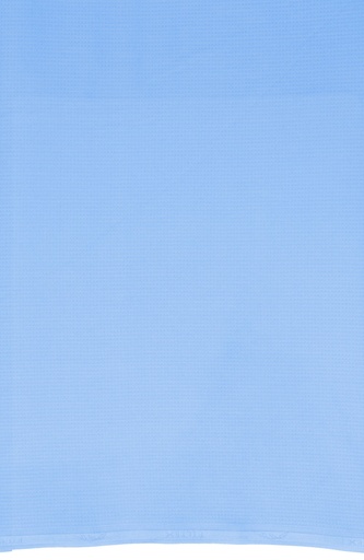 Nido